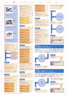 Natural2 DUO ビジュアルファン, 日本語