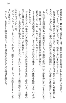 年上メイドの新婚日記, 日本語