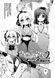 Himitsu no Tokage Hime 2, 中文