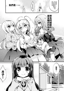 Himitsu no Tokage Hime 2, 中文