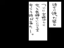 アネトモ～幼顔な僕がお姉さんに可愛がりされちゃう話～, 日本語