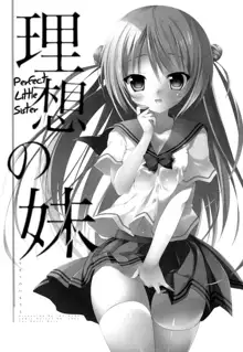 Risou no Imouto, English