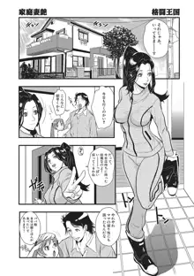 家庭妻艶 Vol.1, 日本語