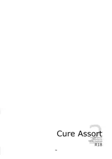 Cure Assort 2, 日本語