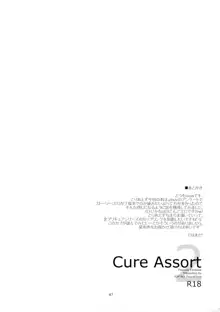 Cure Assort 2, 日本語