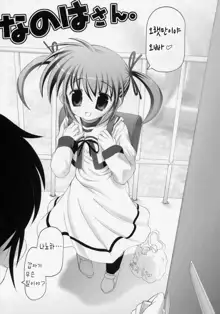 Nanoha-san., 한국어