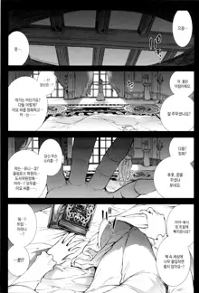 Shinkyoku no Grimoire III -PANDRA saga 2nd story-, 한국어