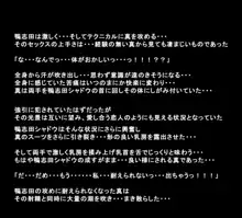 彼女たちが怪盗になった理由, 日本語