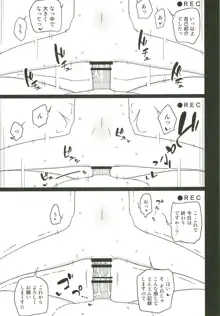 ネバーランドでつかまえてAlter2, 日本語