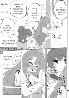 Onee-chan Nanon?, 한국어