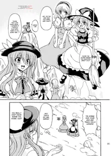 Touhou Youjo Ranbu 9, English