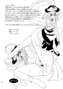 Touhou Youjo Ranbu 9, English