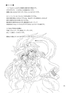 Touhou Youjo Ranbu 9, English