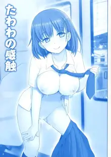 Tawawa no Kanshoku | 타와와의 감촉, 한국어