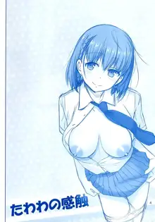 Tawawa no Kanshoku | 타와와의 감촉, 한국어