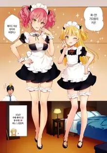 ORDER*MAID*SISTERS Jougasaki Shimai to Maid SEX suru Hon, 한국어