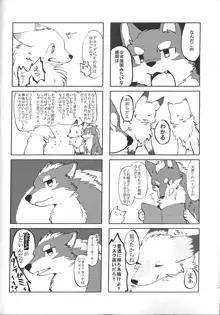 犬の腹を揉む狐, 日本語