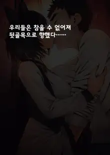 Imouto ni Kusuri o Nomasetara | 의붓 여동생 에게 약을 먹여 보았더니~, 한국어