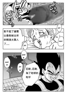 Bulma ga Chikyuu o Sukuu!, 中文