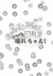 キュアップ・ラパパ! はーちゃんの脳ミソ壊れちゃえ!, 日本語