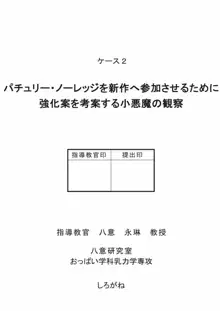 八意研究室 Yagokoro Laboratory, 日本語