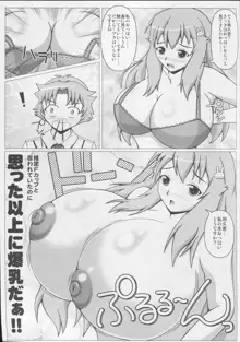 バカとバストと乳間試験, 日本語