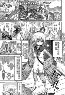 Kininaru Anoko wa Monster Musume | 愛上怪物娘, 中文