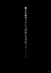 にゃんにゃん委員長, 日本語