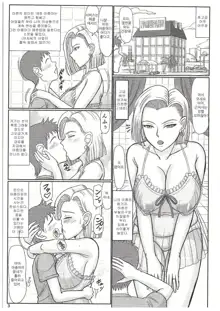 Jukujo Soap 18-gou Jourenkyaku wa Musume no Tomodachi, 한국어