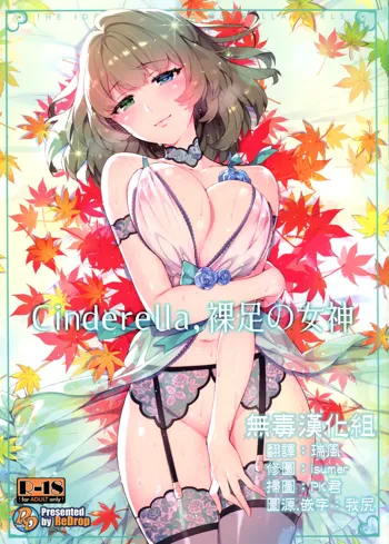 Cinderella, Hadashi no Megami, 中文