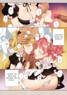 ORDER*MAID*SISTERS Jougasaki Shimai to Maid SEX Suru Hon, 한국어