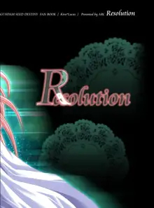 Resolution, 日本語