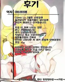 Blond no Koigokoro | 금발의 연심, 한국어