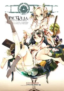 pictulia + 4P Leaflet, English