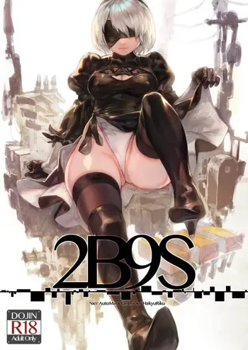 2B9S, 中文