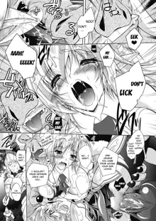 Juuyoku ni Kegareta Elf Hime Kishi Sefiria | An Elf Sullied by Bestial Lust Princess Knight Sefiria, English