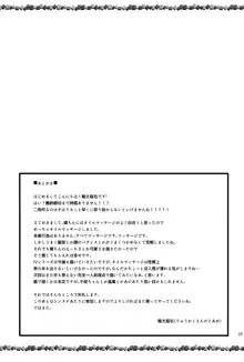 結城晴のイメージビデオ体験記, 日本語