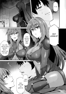 ~FGO-MIX~ Scáthach, 한국어