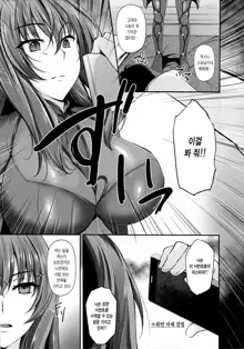 ~FGO-MIX~ Scáthach, 한국어