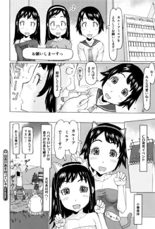 いっぱい遊んだよ, 日本語