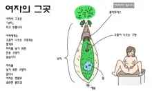 Watashitachi no Karada ~Kodomo ga Dekirushikumi~ | 남자와 여자의 몸구조 ~아기가 생기는 구조~, 한국어