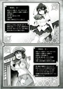 東方エロステータス合同, 日本語