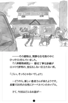 秘密のいぬっこクラブ ~Bitter~, 日本語