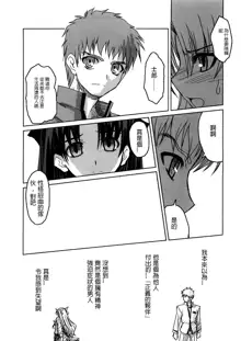 Fate Gakuen ALTERNATIVE, 中文