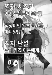 Illya-chan no Hatsujouki | 이리야쨩의 발정기, 한국어