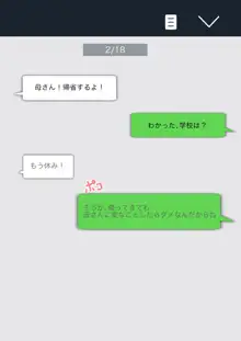 母さん！帰省するよ！, 日本語