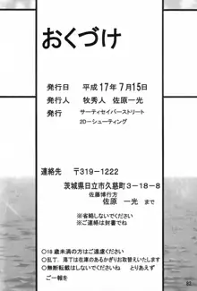 サイレント・サターンスペシャル サターン降臨10周年記念本, 日本語