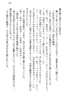 妹エッチ以外ぜったい禁止! 委員長、妹の親友、中二病少女と……, 日本語