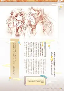 千の刃濤、桃花染の皇姫 ビジュアルファンブック, 日本語