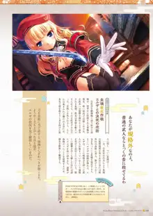 千の刃濤、桃花染の皇姫 ビジュアルファンブック, 日本語